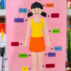 CUERPO HUMANO NIÑA GOMA EVA