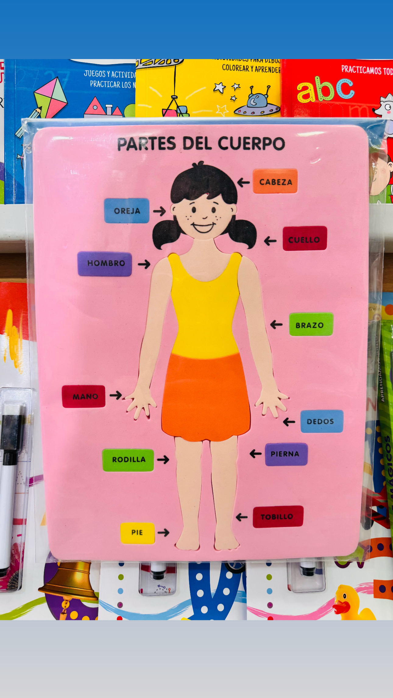 CUERPO HUMANO NIÑA GOMA EVA