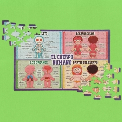 PUZZLE DEL CUERPO HUMANO