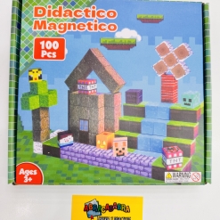 DIDACTICOS MAGNETICOS